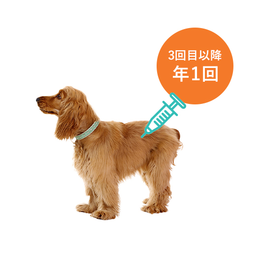 ワクチン接種のタイミング
